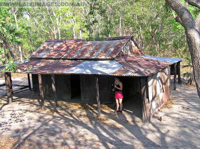 678x501 pixels (315K)